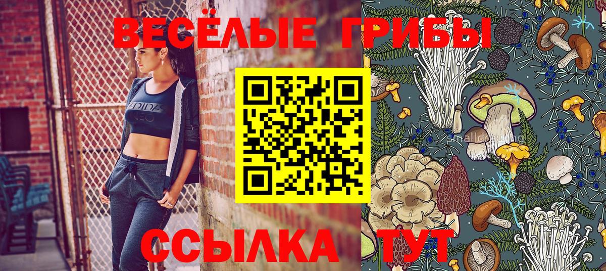 Псилоцибиновые грибы MAGIC MUSHROOMS Стрежевой
